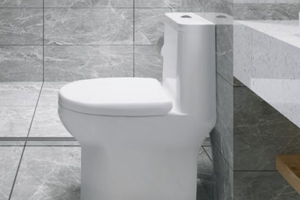 Các loại bồn cầu 1 khối - lựa chọn thông minh cho nhà vệ sinh hiện đại